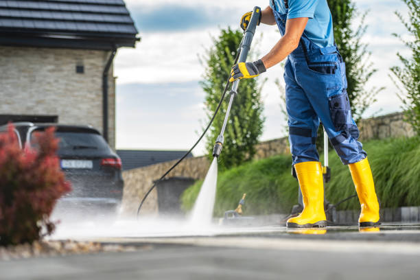 Best Gutter Cleaning  in Weslaco, TX
